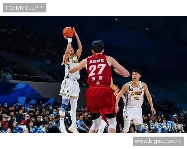 辽宁队与广厦队激战正酣2017年第四场精彩回顾与分析 辽宁队与广厦队激战正酣2017年第四场精彩回顾与分析