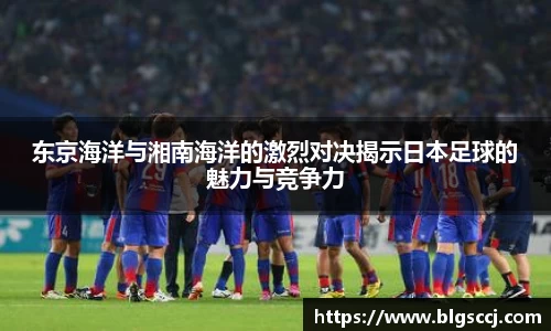 BB贝博登录入口